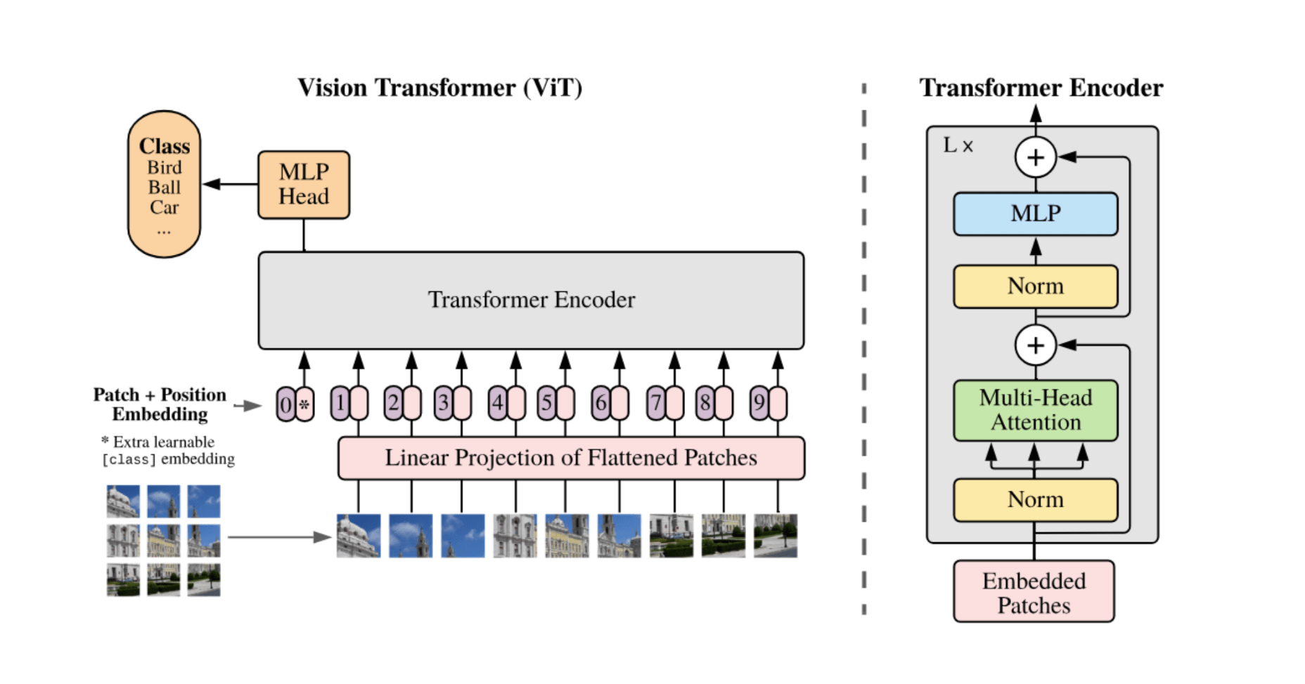 Vision Transformer and MobileViT Experiment Overview